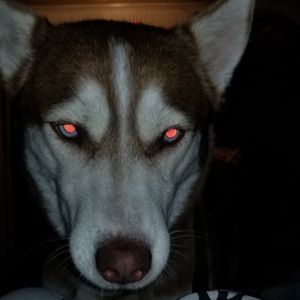 Meet your Posher, Xann